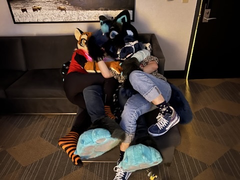 053D3405-42AC-4E03-BA41-6B883BAB2D85_4_5005_c.jpeg