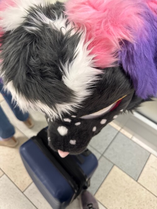 0AAA5E62-AA51-44E5-8FD4-252D038ACFE5_1_105_c.jpeg