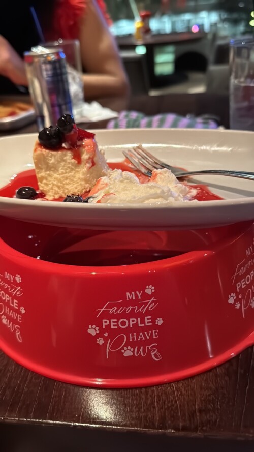 5E3F5495-5B0B-48F3-B7A3-1795BB6B8AEE_1_105_c.jpeg