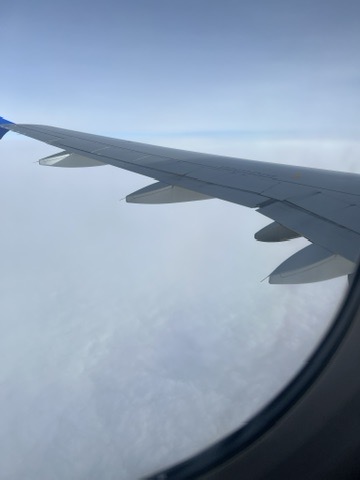 71C3650D-9B69-4955-BF61-1E6469B64522_4_5005_c.jpeg