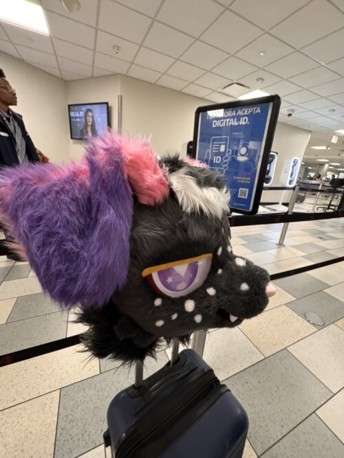 77B844AE-8CA8-4D73-9435-FDCF064B308F_1_105_c.jpeg