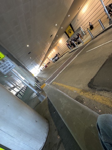 B7440E49-E708-497B-9CF0-CCD1680CAF38_4_5005_c.jpeg
