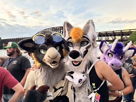 D8AA31B3-75D4-452A-ABF5-BE0031029AF6_4_5005_c.jpeg