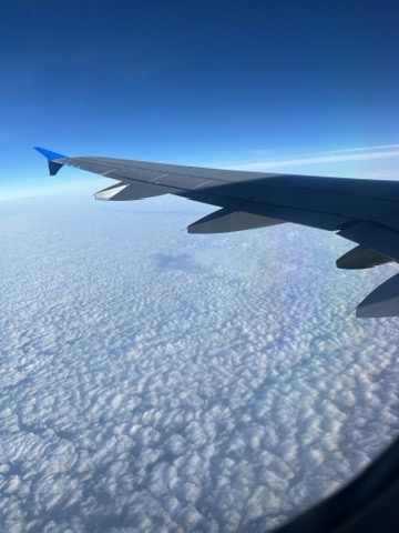 E3088ED6-A6C2-4FB7-9FA7-BA651A3B9C4D_4_5005_c.jpeg