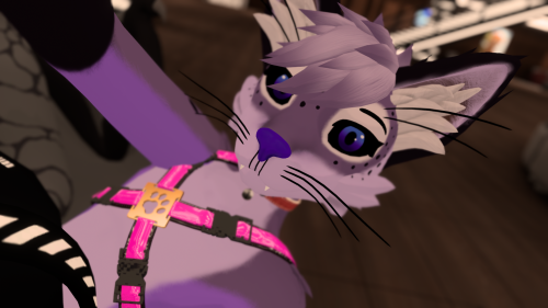 VRChat_2023-06-28_00-40-41.760_1920x1080.png