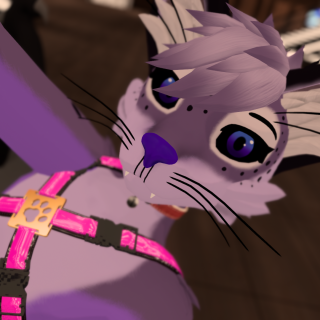 VRChat_2023-06-28_00-40-41.760_1920x1080