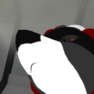 VRChat_2024-03-01_21-08-31.653_1920x1080