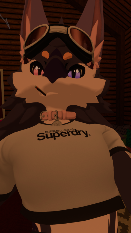 VRChat_2024-04-12_18-24-28.248_1080x1920.png