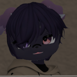 VRChat_2024-05-16_08-49-53.618_1920x1080