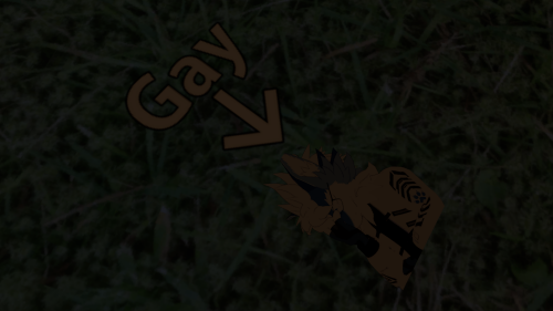 VRChat_2025-05-31_10-52-16.788_1920x1080.png