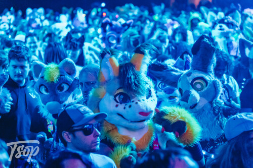 Anthrocon-2025-Sunday-139-Alexx.jpg