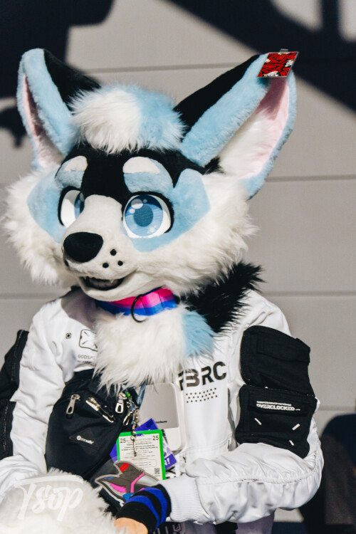 Anthrocon-2025-Sunday-141-Alexx.jpg