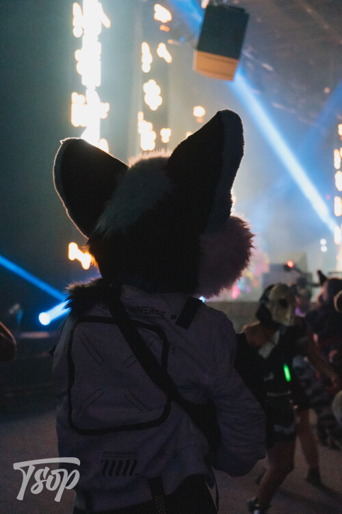 Anthrocon-2025-Sunday-142-Alexx.jpg