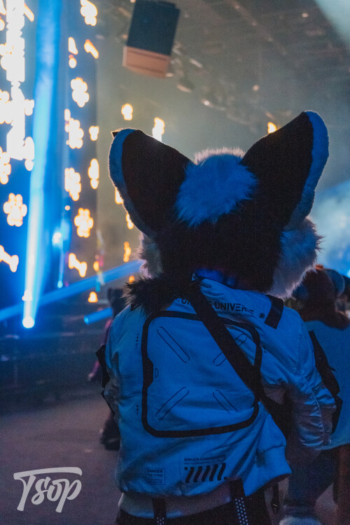 Anthrocon-2025-Sunday-143-Alexx.jpg
