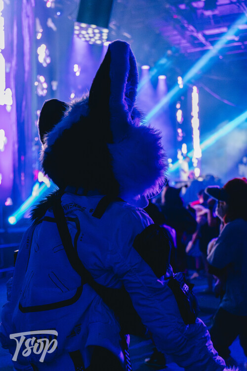 Anthrocon-2025-Sunday-144-Alexx.jpg