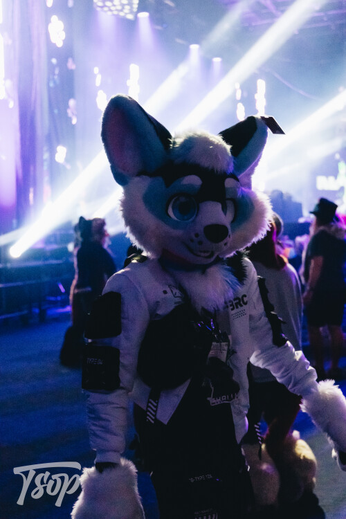 Anthrocon-2025-Sunday-148-Alexx.jpg