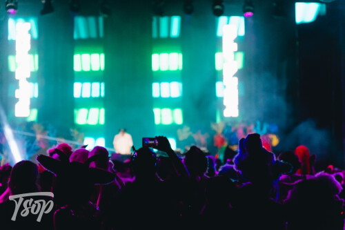 Anthrocon-2025-Sunday-152-Alexx.jpg