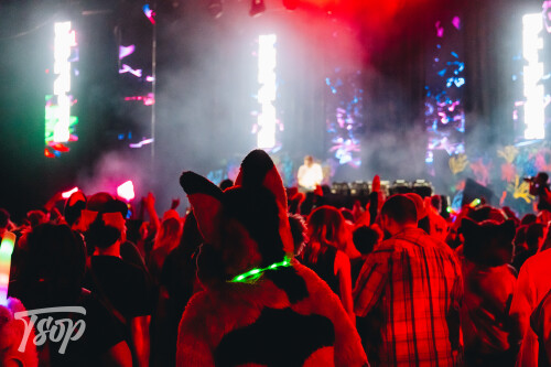 Anthrocon-2025-Sunday-155-Alexx.jpg