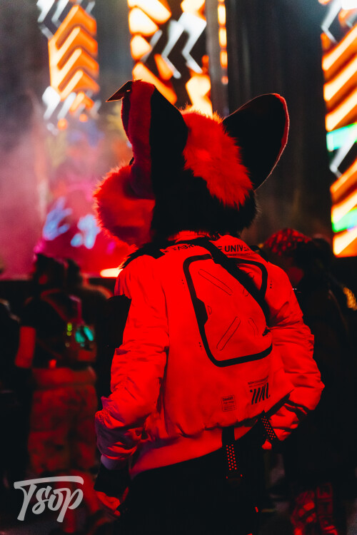 Anthrocon-2025-Sunday-159-Alexx.jpg