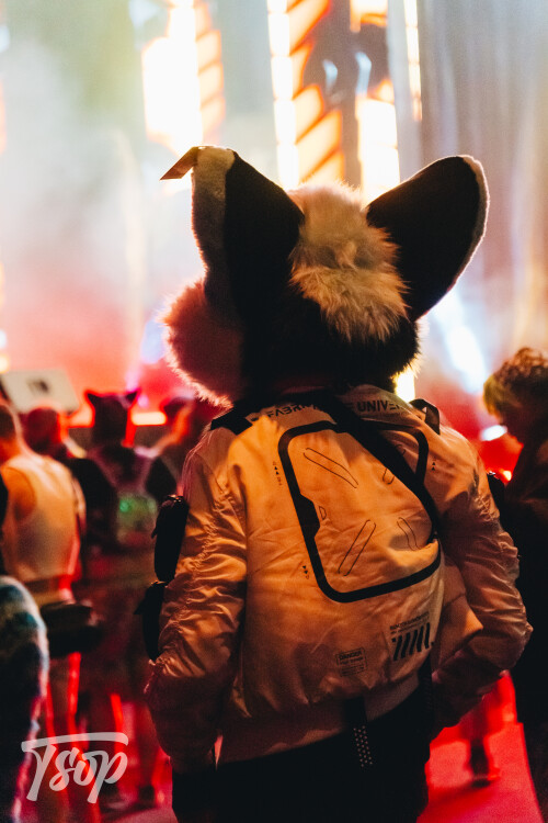 Anthrocon-2025-Sunday-160-Alexx.jpg