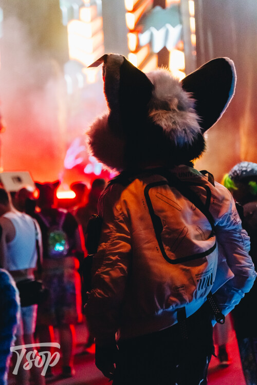 Anthrocon-2025-Sunday-161-Alexx.jpg