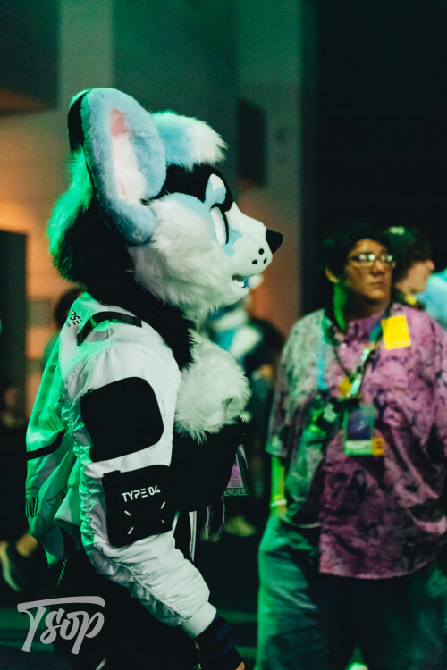 Anthrocon-2025-Sunday-162-Alexx.jpg