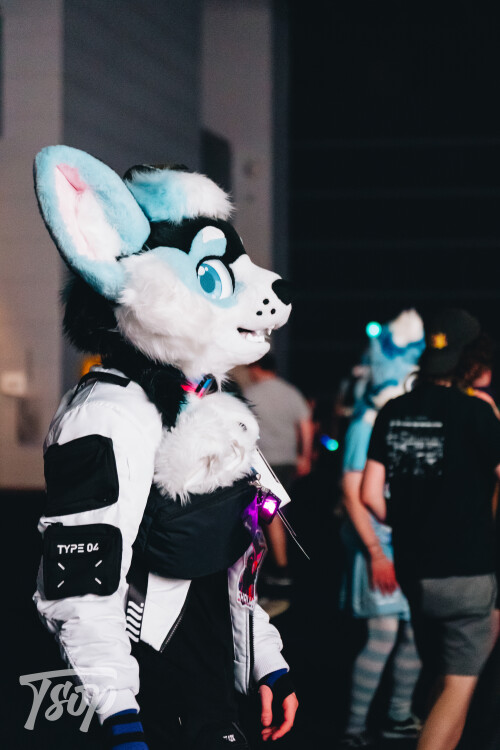 Anthrocon-2025-Sunday-163-Alexx.jpg