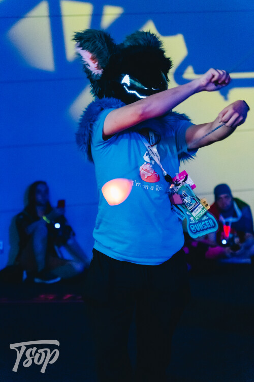 Anthrocon-2025-Sunday-193-Alexx.jpg