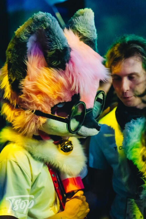 Anthrocon-2025-Sunday-198-Alexx.jpg