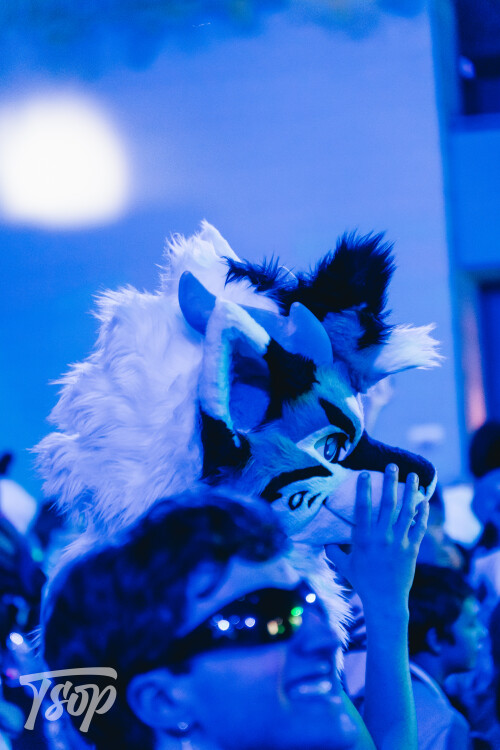 Anthrocon-2025-Sunday-199-Alexx.jpg