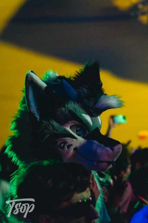 Anthrocon-2025-Sunday-200-Alexx.jpg