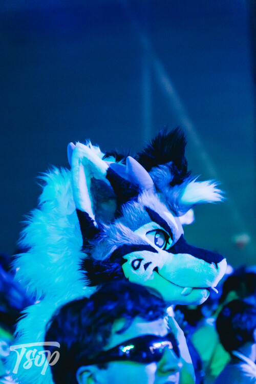 Anthrocon-2025-Sunday-201-Alexx.jpg