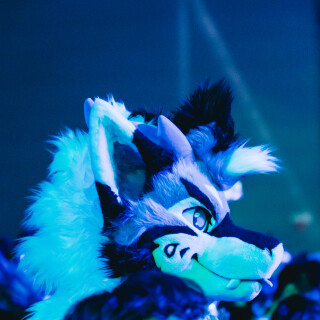 Anthrocon-2025-Sunday-201-Alexx