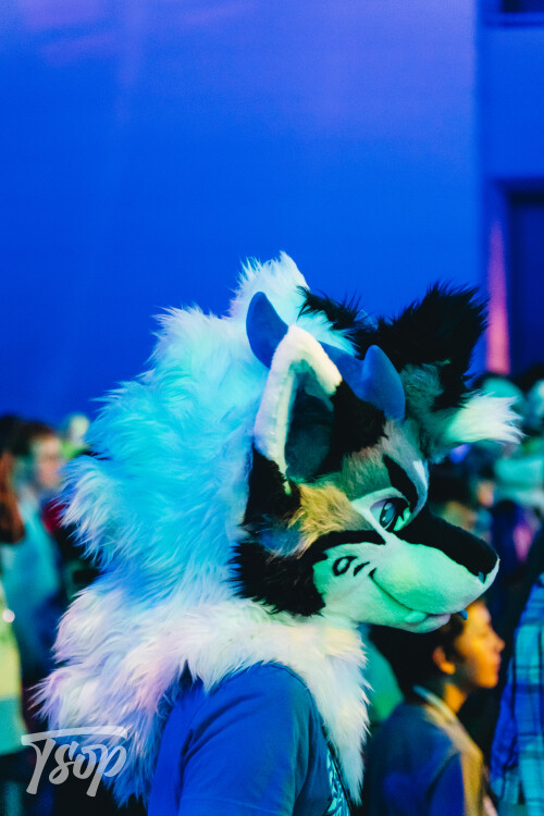 Anthrocon-2025-Sunday-202-Alexx.jpg
