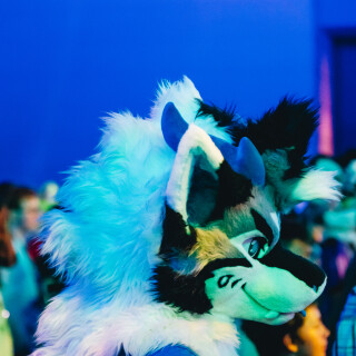 Anthrocon-2025-Sunday-202-Alexx