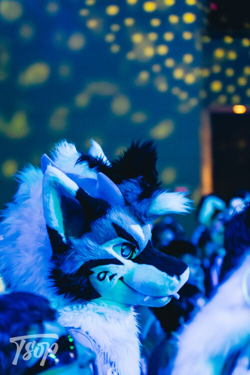 Anthrocon-2025-Sunday-205-Alexx.jpg