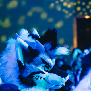 Anthrocon-2025-Sunday-205-Alexx