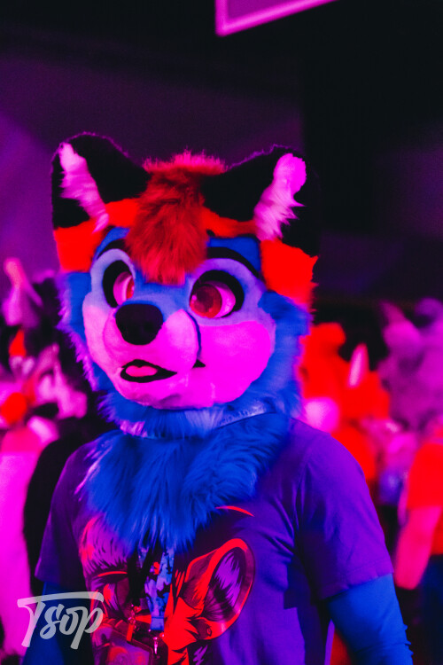 Anthrocon-2025-Sunday-206-Alexx.jpg
