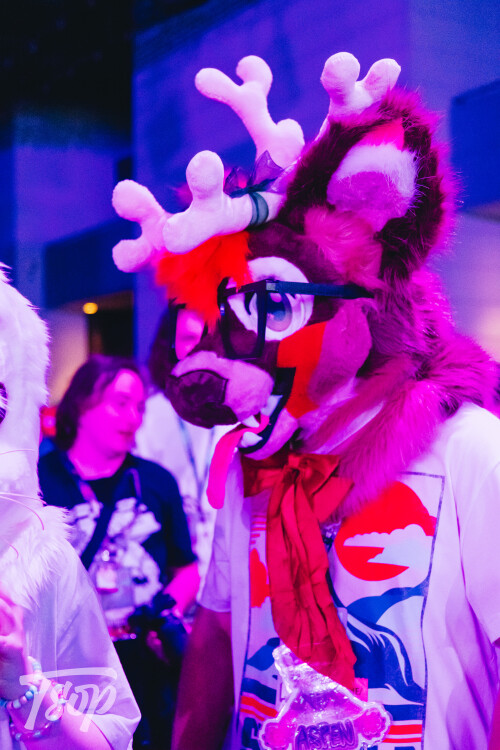 Anthrocon-2025-Sunday-212-Alexx.jpg