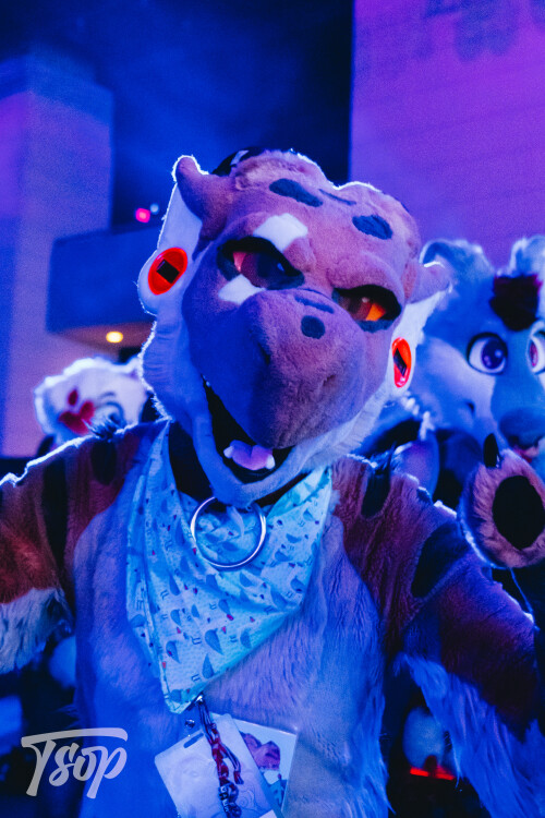Anthrocon-2025-Sunday-213-Alexx.jpg