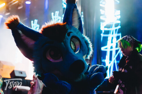 Anthrocon-2025-Sunday-214-Alexx.jpg