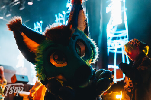 Anthrocon-2025-Sunday-215-Alexx.jpg