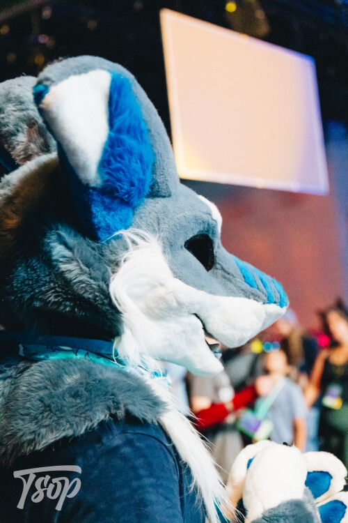 Anthrocon-2025-Sunday-220-Alexx.jpg