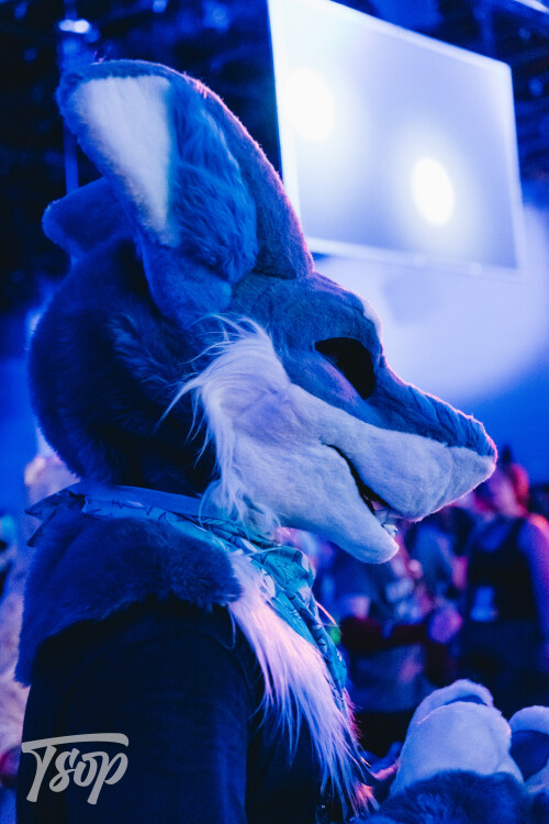 Anthrocon-2025-Sunday-221-Alexx.jpg