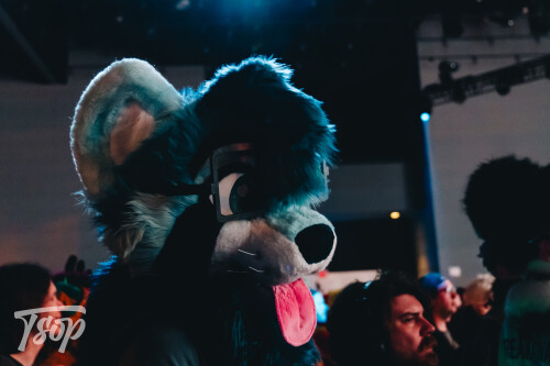 Anthrocon-2025-Sunday-233-Alexx.jpg