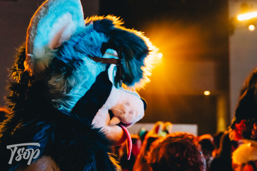 Anthrocon-2025-Sunday-234-Alexx.jpg