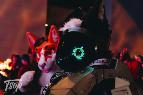 Anthrocon-2025-Sunday-236-Alexx.jpg