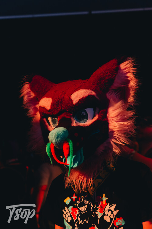Anthrocon-2025-Sunday-237-Alexx.jpg