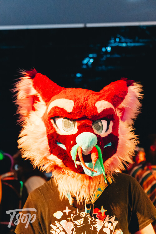 Anthrocon-2025-Sunday-238-Alexx.jpg