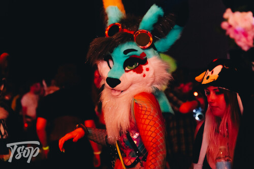 Anthrocon-2025-Sunday-241-Alexx.jpg